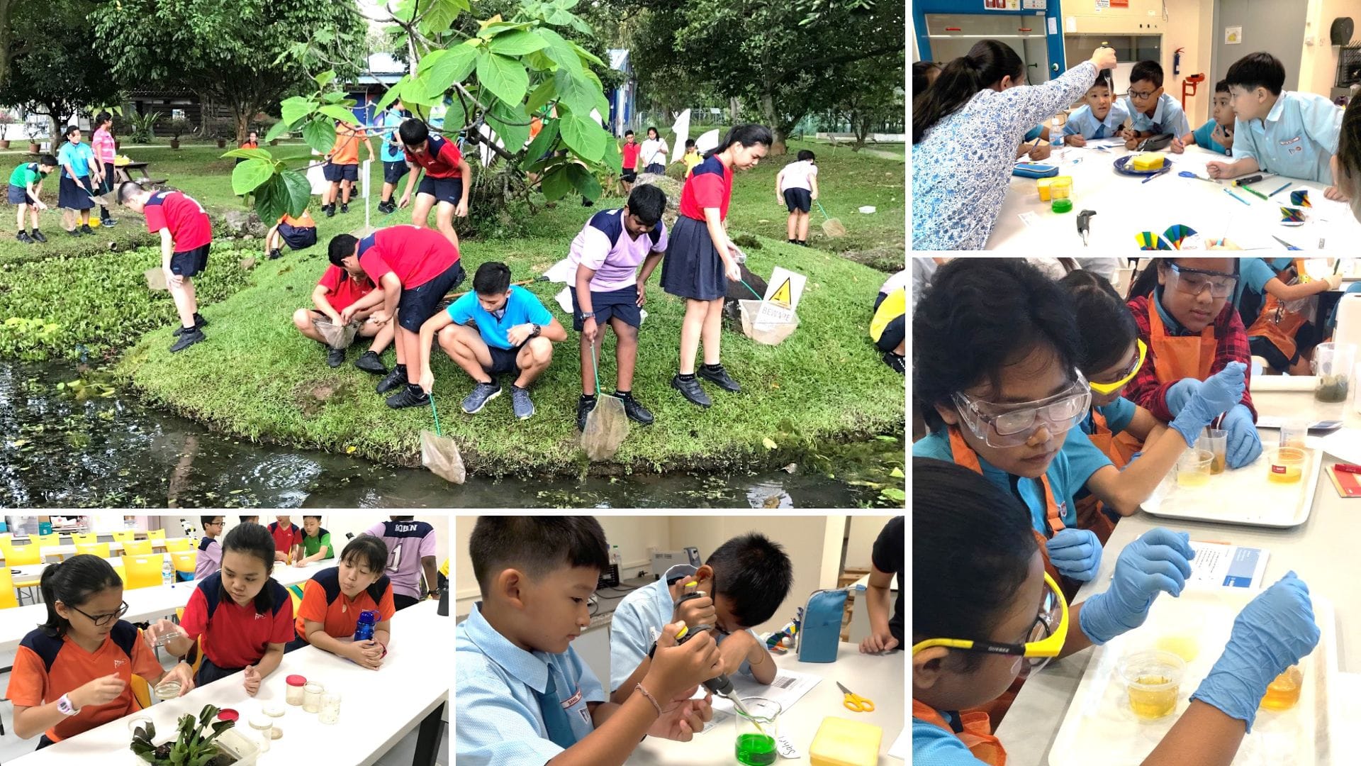 Students conduct fieldwork and laboratory experiments, collecting samples, observing organisms, and analyzing scientific data.